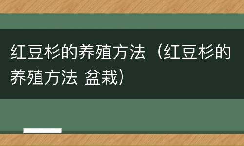 红豆杉的养殖方法（红豆杉的养殖方法 盆栽）