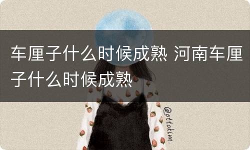 车厘子什么时候成熟 河南车厘子什么时候成熟