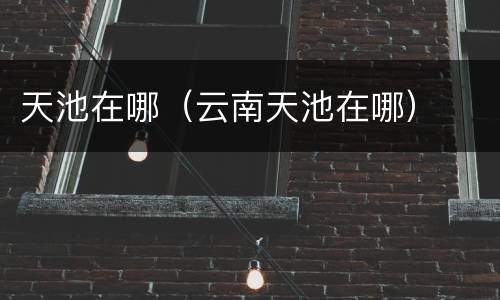 天池在哪（云南天池在哪）