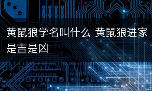 黄鼠狼学名叫什么 黄鼠狼进家是吉是凶
