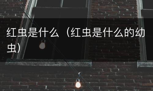 红虫是什么（红虫是什么的幼虫）