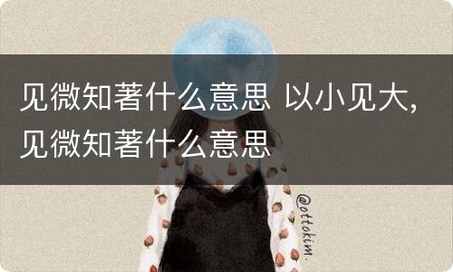 见微知著什么意思 以小见大,见微知著什么意思