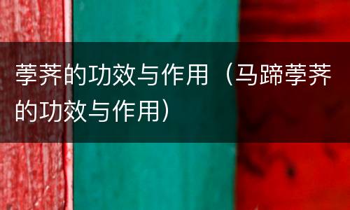 荸荠的功效与作用（马蹄荸荠的功效与作用）