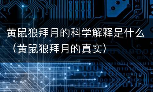 黄鼠狼拜月的科学解释是什么（黄鼠狼拜月的真实）