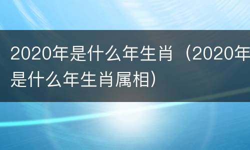 2020年是什么年生肖（2020年是什么年生肖属相）