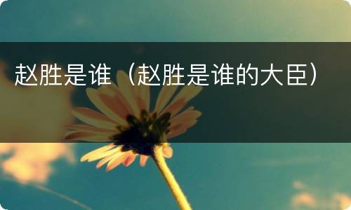 赵胜是谁（赵胜是谁的大臣）