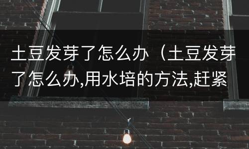 土豆发芽了怎么办（土豆发芽了怎么办,用水培的方法,赶紧把它种起来!）