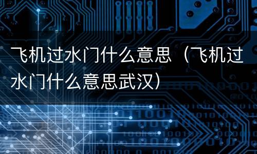飞机过水门什么意思（飞机过水门什么意思武汉）