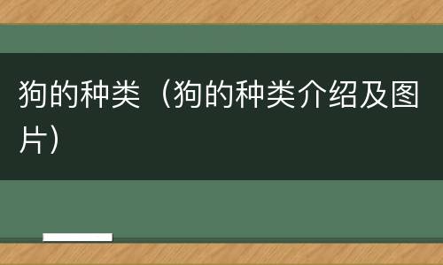 狗的种类（狗的种类介绍及图片）