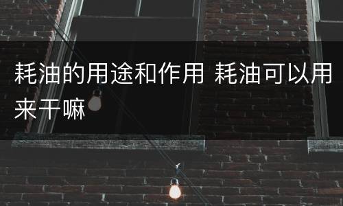 耗油的用途和作用 耗油可以用来干嘛