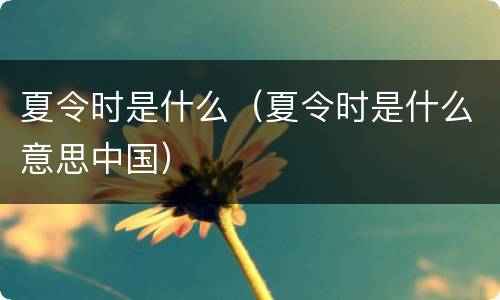 夏令时是什么（夏令时是什么意思中国）