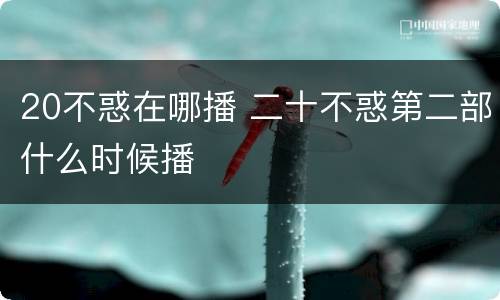 20不惑在哪播 二十不惑第二部什么时候播