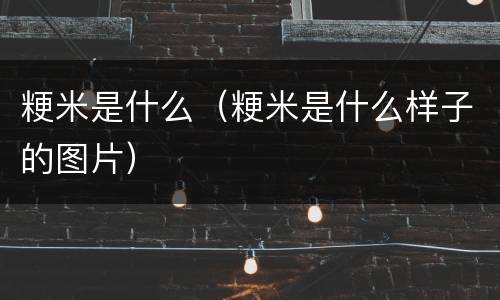 粳米是什么（粳米是什么样子的图片）