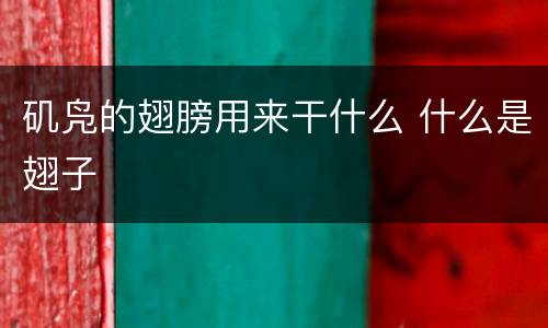 矶凫的翅膀用来干什么 什么是翅子