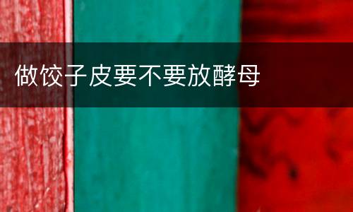 做饺子皮要不要放酵母