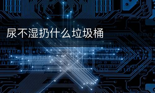 尿不湿扔什么垃圾桶