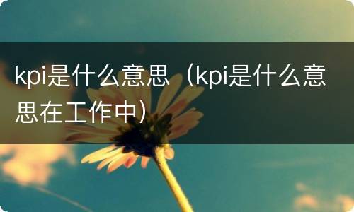 kpi是什么意思（kpi是什么意思在工作中）