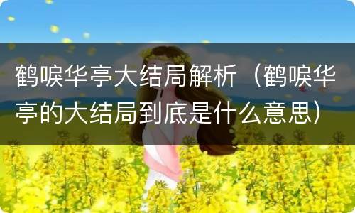 鹤唳华亭大结局解析（鹤唳华亭的大结局到底是什么意思）