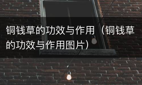 铜钱草的功效与作用（铜钱草的功效与作用图片）