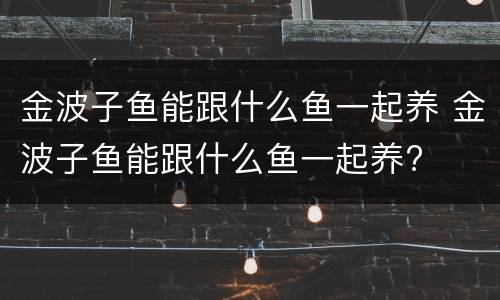 金波子鱼能跟什么鱼一起养 金波子鱼能跟什么鱼一起养?