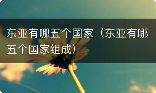 东亚有哪五个国家（东亚有哪五个国家组成）