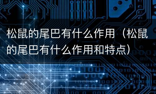 松鼠的尾巴有什么作用（松鼠的尾巴有什么作用和特点）
