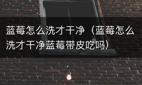 蓝莓怎么洗才干净（蓝莓怎么洗才干净蓝莓带皮吃吗）