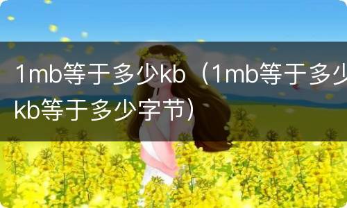 1mb等于多少kb（1mb等于多少kb等于多少字节）