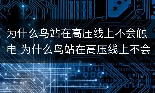 为什么鸟站在高压线上不会触电 为什么鸟站在高压线上不会触电人就会