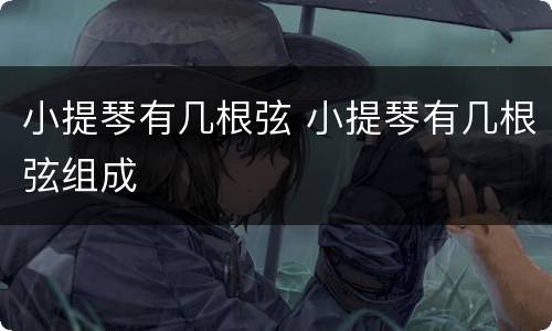 小提琴有几根弦 小提琴有几根弦组成