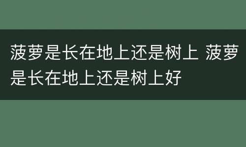 菠萝是长在地上还是树上 菠萝是长在地上还是树上好