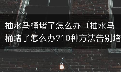 抽水马桶堵了怎么办（抽水马桶堵了怎么办?10种方法告别堵塞）