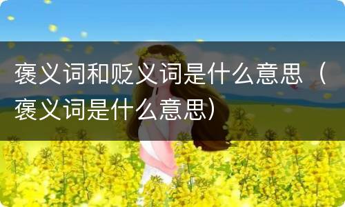 褒义词和贬义词是什么意思（褒义词是什么意思）