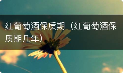 红葡萄酒保质期（红葡萄酒保质期几年）