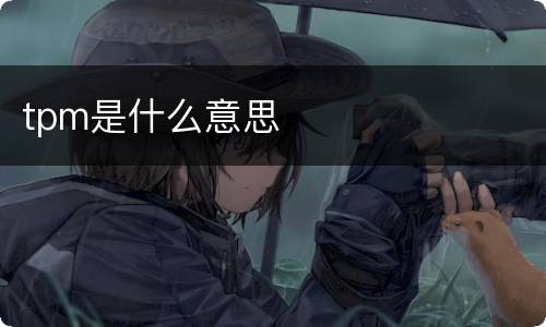tpm是什么意思