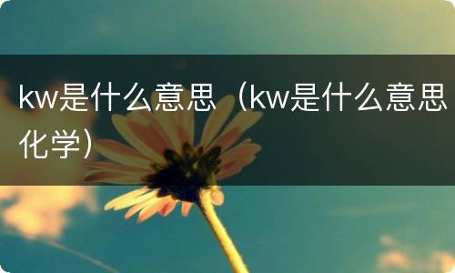 kw是什么意思（kw是什么意思化学）