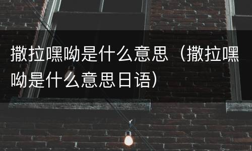 撒拉嘿呦是什么意思（撒拉嘿呦是什么意思日语）
