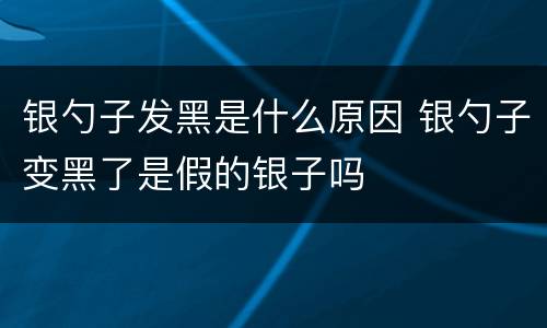 银勺子发黑是什么原因 银勺子变黑了是假的银子吗
