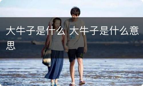 大牛子是什么 大牛子是什么意思