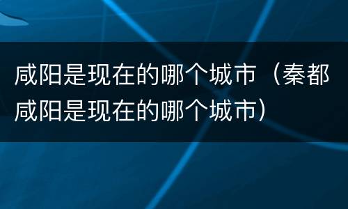 咸阳是现在的哪个城市（秦都咸阳是现在的哪个城市）