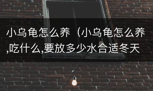小乌龟怎么养（小乌龟怎么养,吃什么,要放多少水合适冬天）