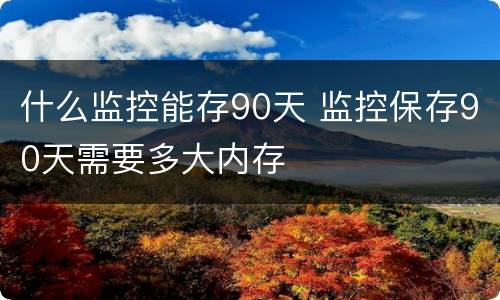 什么监控能存90天 监控保存90天需要多大内存