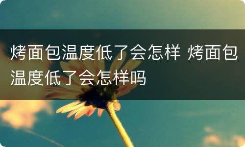 烤面包温度低了会怎样 烤面包温度低了会怎样吗