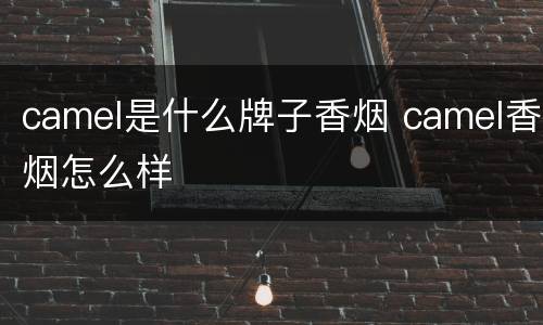 camel是什么牌子香烟 camel香烟怎么样