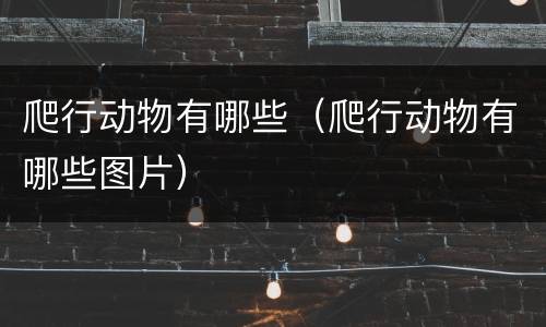 爬行动物有哪些（爬行动物有哪些图片）