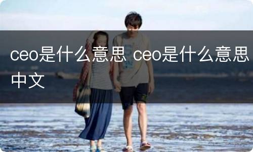 ceo是什么意思 ceo是什么意思中文