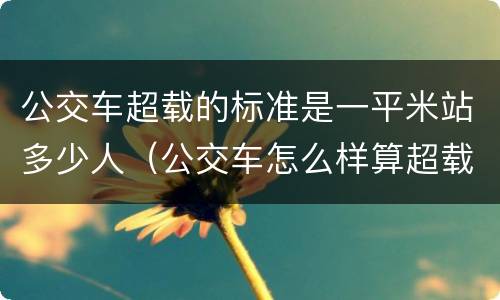 公交车超载的标准是一平米站多少人（公交车怎么样算超载）