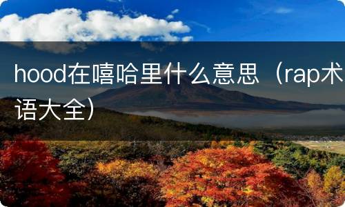 hood在嘻哈里什么意思（rap术语大全）