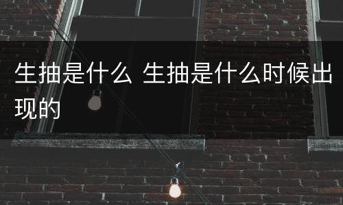 生抽是什么 生抽是什么时候出现的