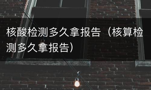 核酸检测多久拿报告（核算检测多久拿报告）